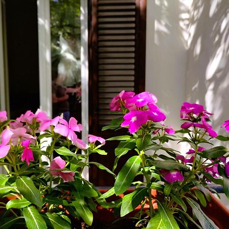 Apartament Domus Vetriera Palermo Zewnętrze zdjęcie