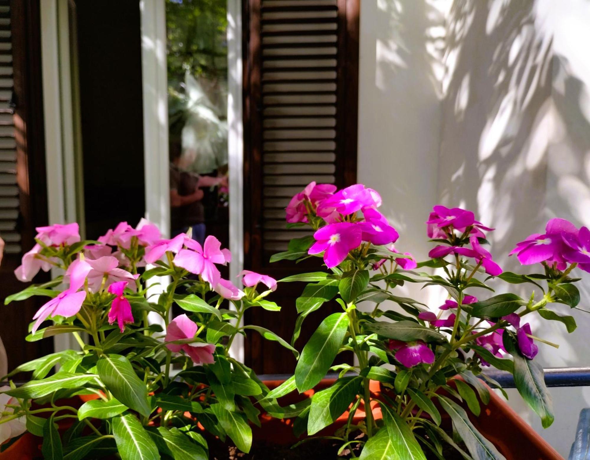 Apartament Domus Vetriera Palermo Zewnętrze zdjęcie